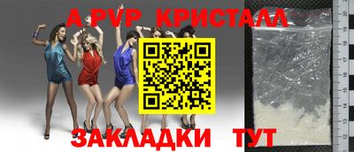 дмт Шелехов