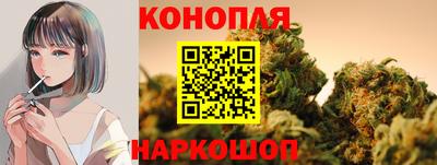 дмт Шелехов