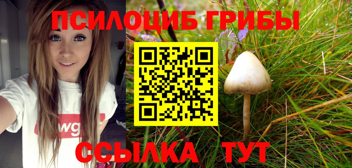 Псилоцибиновые грибы MAGIC MUSHROOMS Бердск