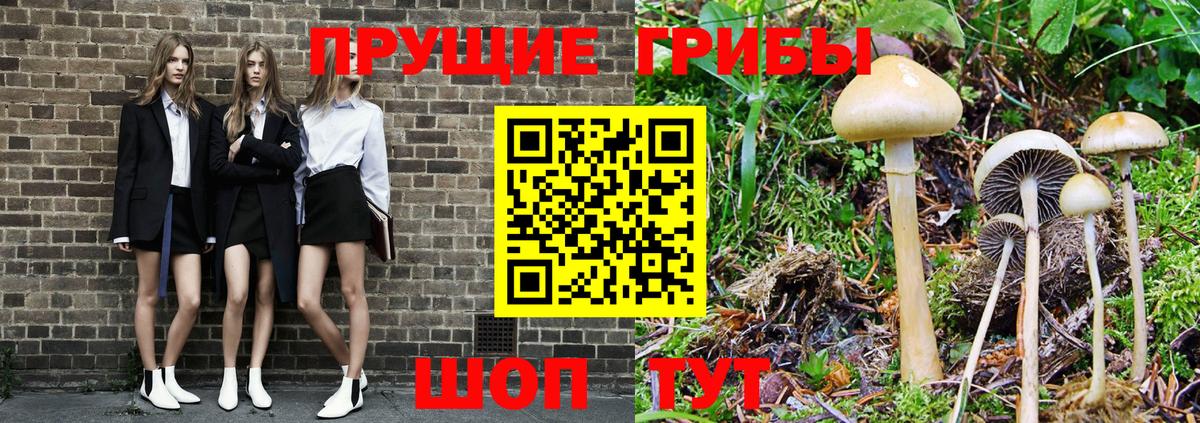 Бердск  Галлюциногенные грибы Psilocybe  Вход с VPN  Псилоцибиновые грибы GOLDEN TEACHER 