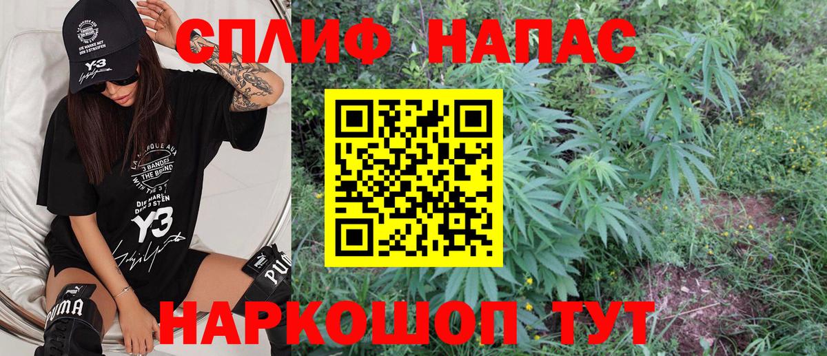 Конопля тримм  Вход с VPN  Бошки марихуана семена  Бердск 